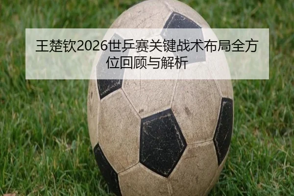 王楚钦2026世乒赛关键战术布局全方位回顾与解析