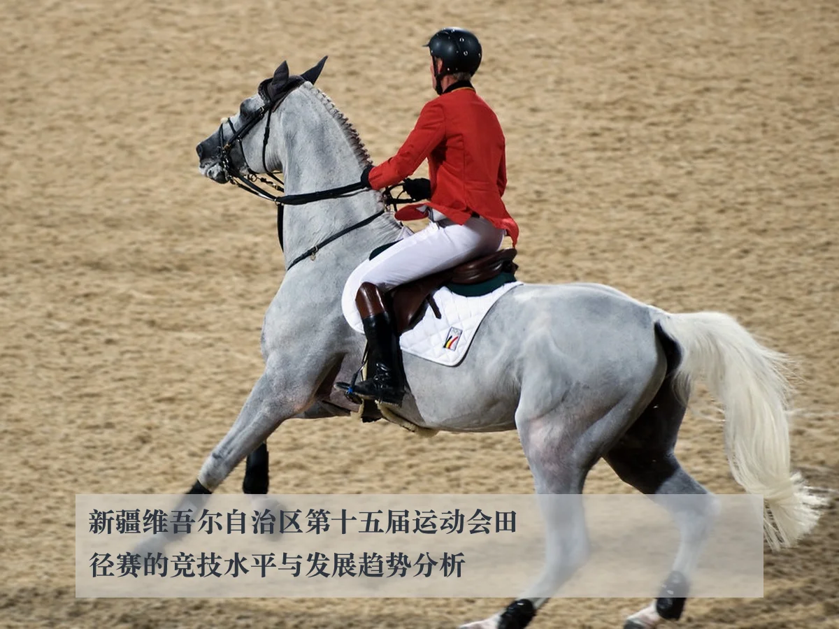 新疆维吾尔自治区第十五届运动会田径赛的竞技水平与发展趋势分析